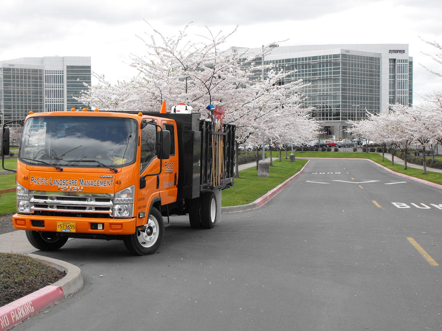 Pacific Landscape Management Portland OR Commercial Landscape Management