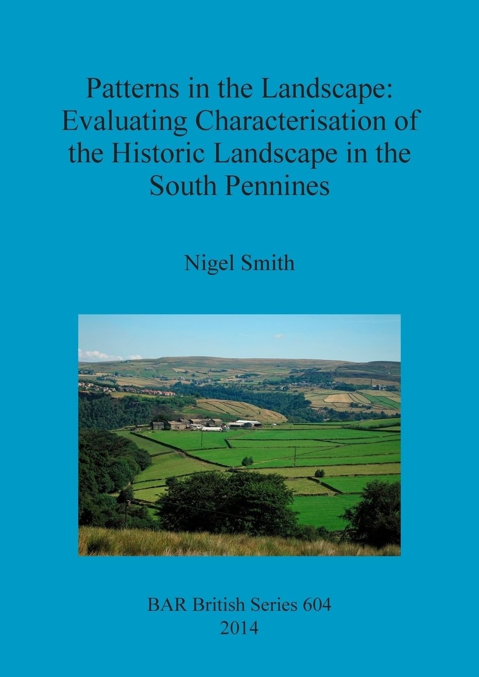 Patterns In The Landscape Evaluating Characterisation Of The Historic Landscape In The South Pennines BAR British Smith Nigel 9781407313207 Amazon Books
