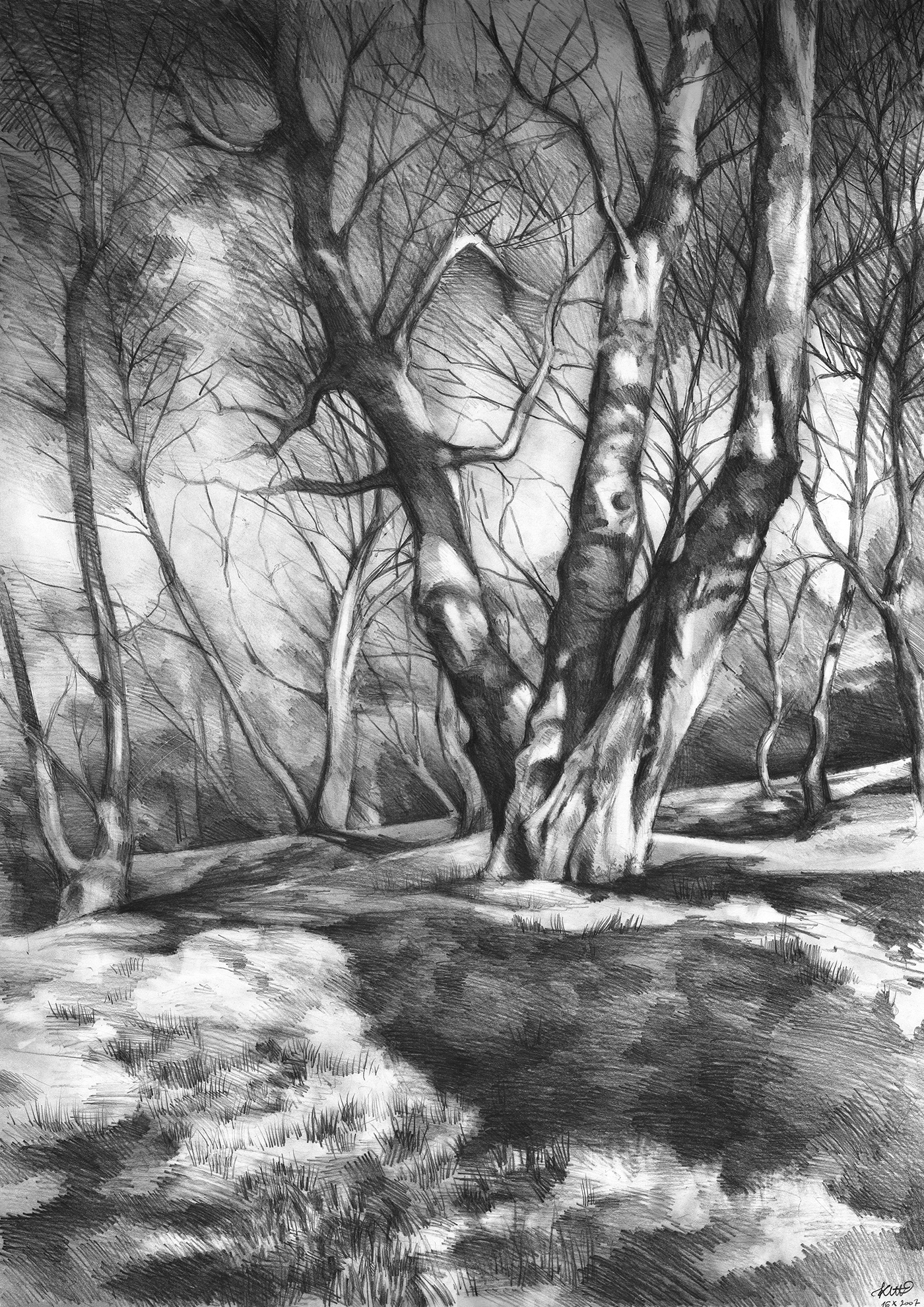 drawing landscapes in pencil