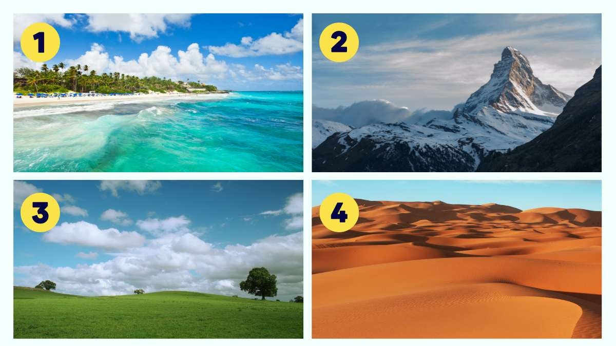 types of landscape