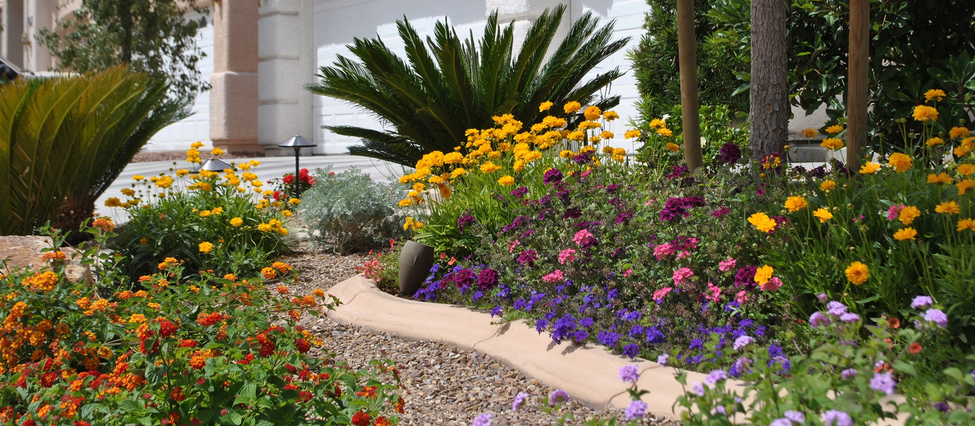 plants in the landscape