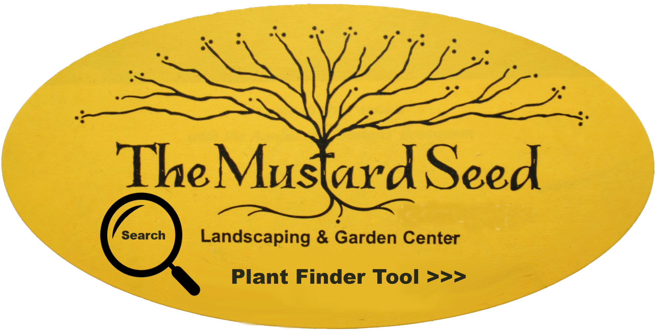 Plant Information The Mustard Seed Landscape And Garden Center