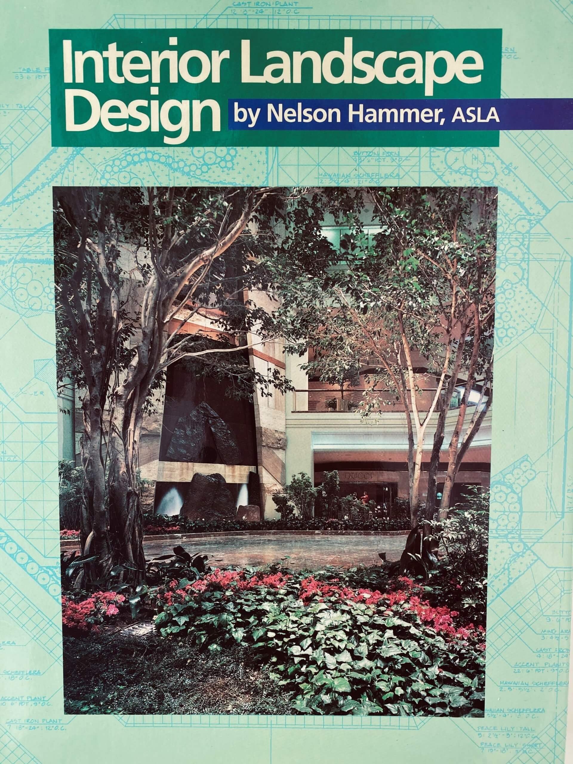 Planterra What Is Interior Landscaping Planterra