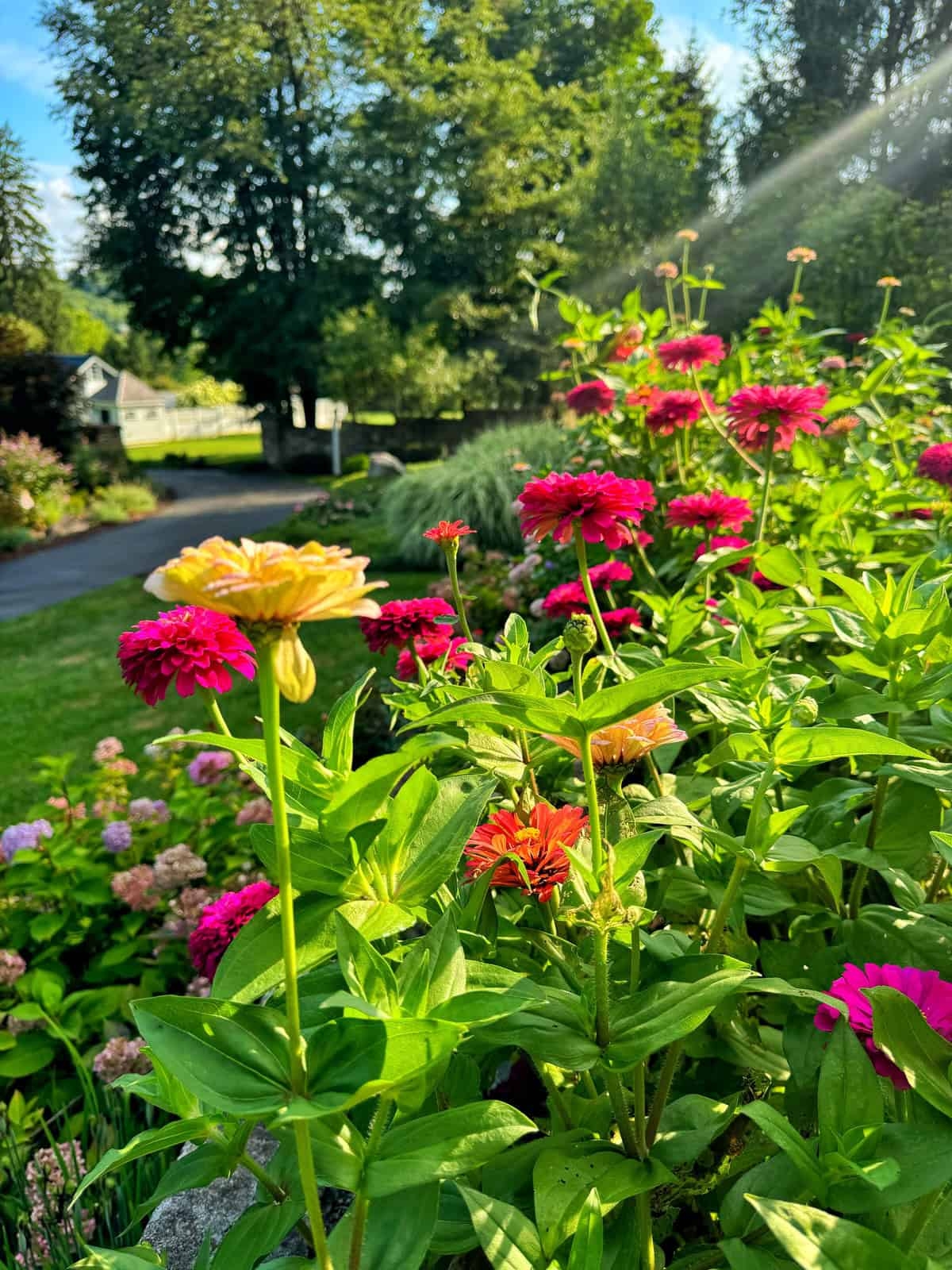 bright views landscaping