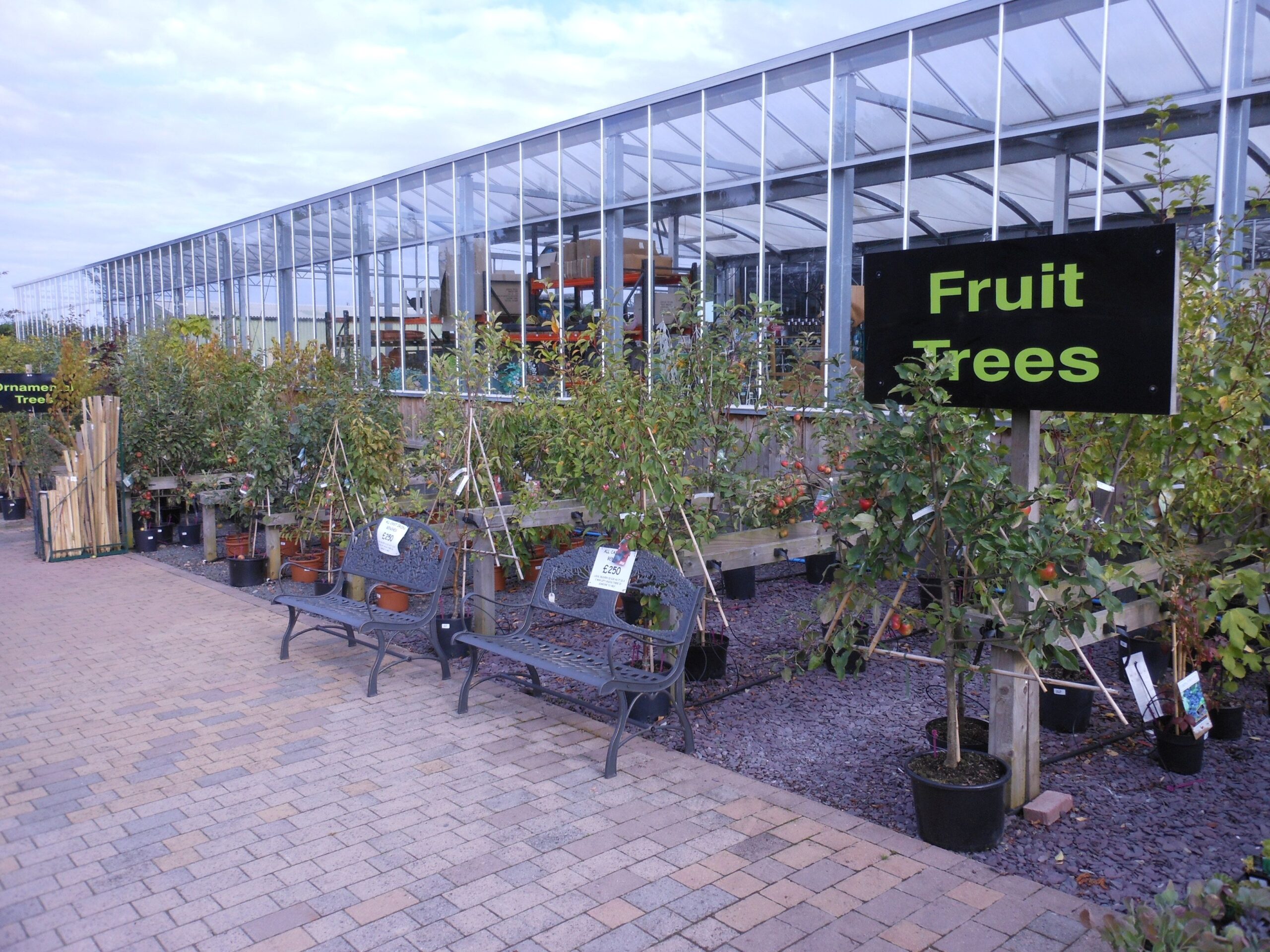 Plants Cherry Hill Garden Landscape Centre
