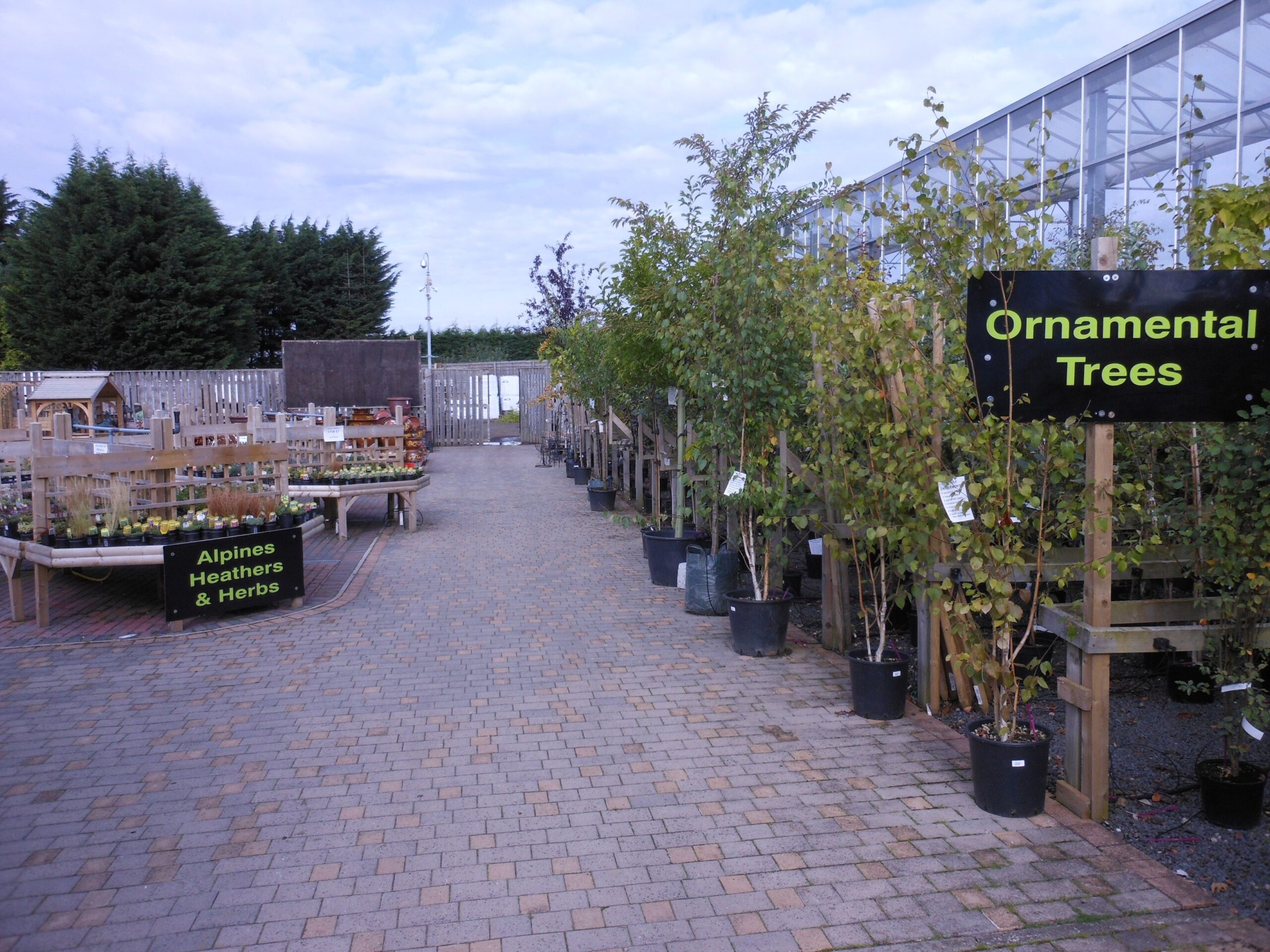 Plants Cherry Hill Garden Landscape Centre