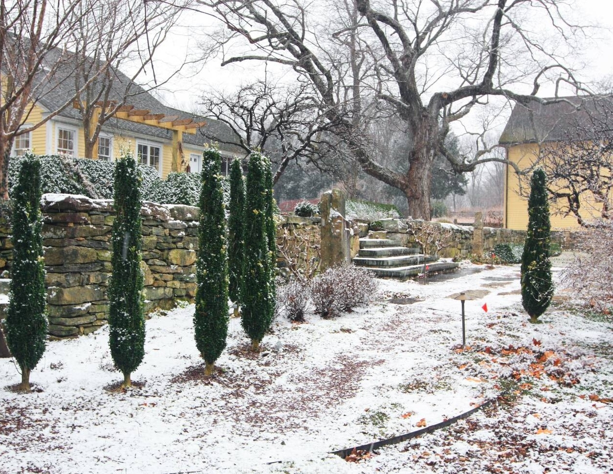 Plants For The Winter Garden Warren Leach s Debut Book Explores Landscapes In The Off Season Plants For The Winter Garden Warren Leach s Debut Book Explores Landscapes In The Off Season