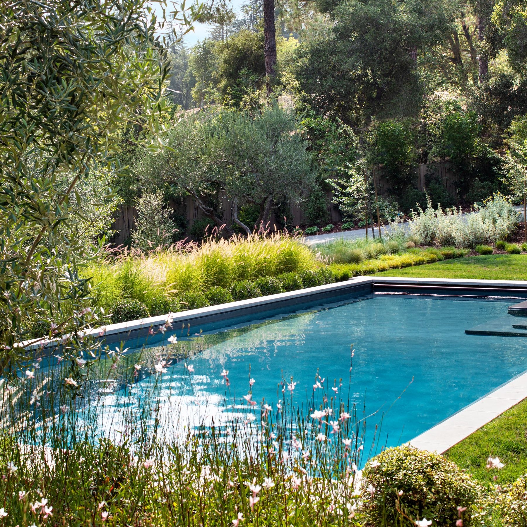 Pool Landscaping Ideas 10 Ways To Surround Your Pool With Paving Planting And More Gardeningetc