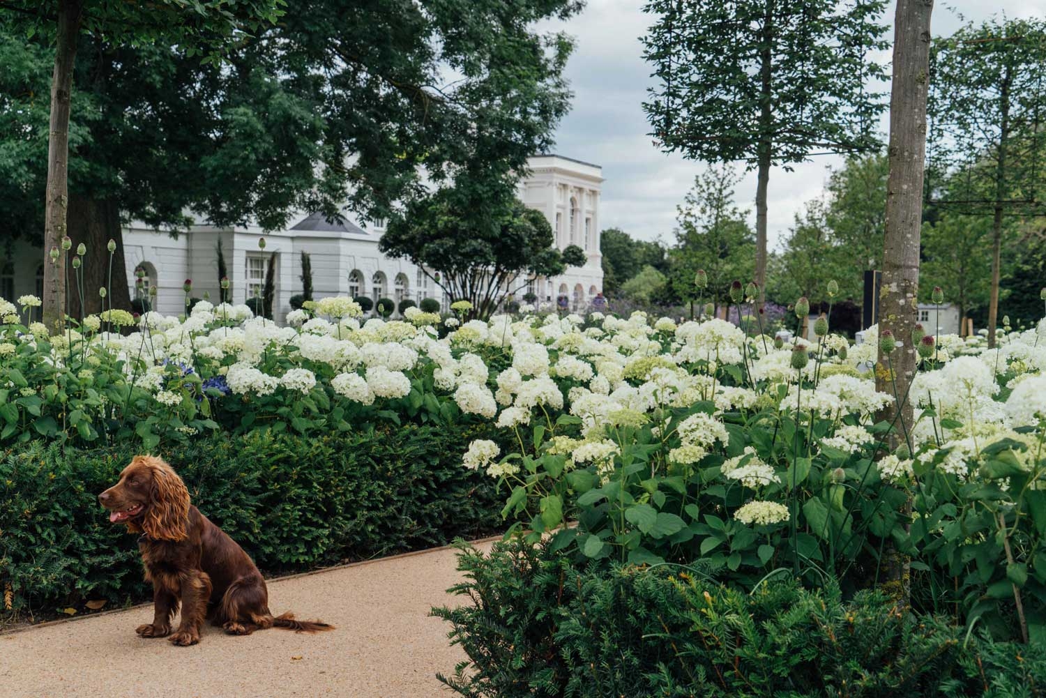 Portfolio Commercial Garden Design