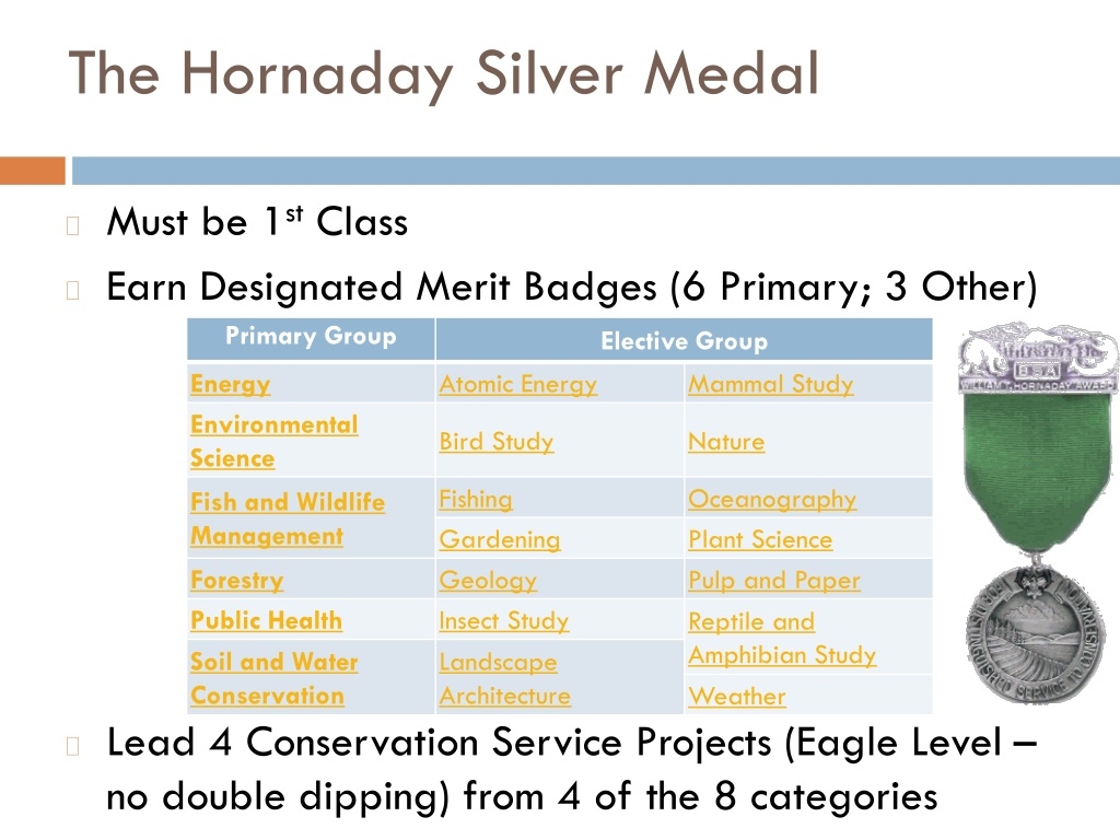PPT Conservation Awards Celebrating Environmental Stewardship In Boy Scouts PowerPoint Presentation ID 9344865