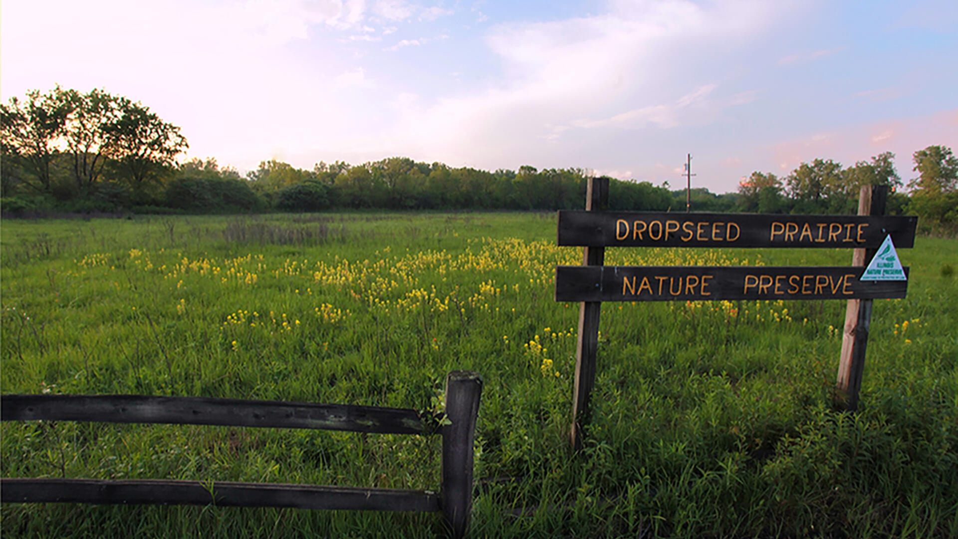 Prairies Of Markham Survey The Nature Conservancy