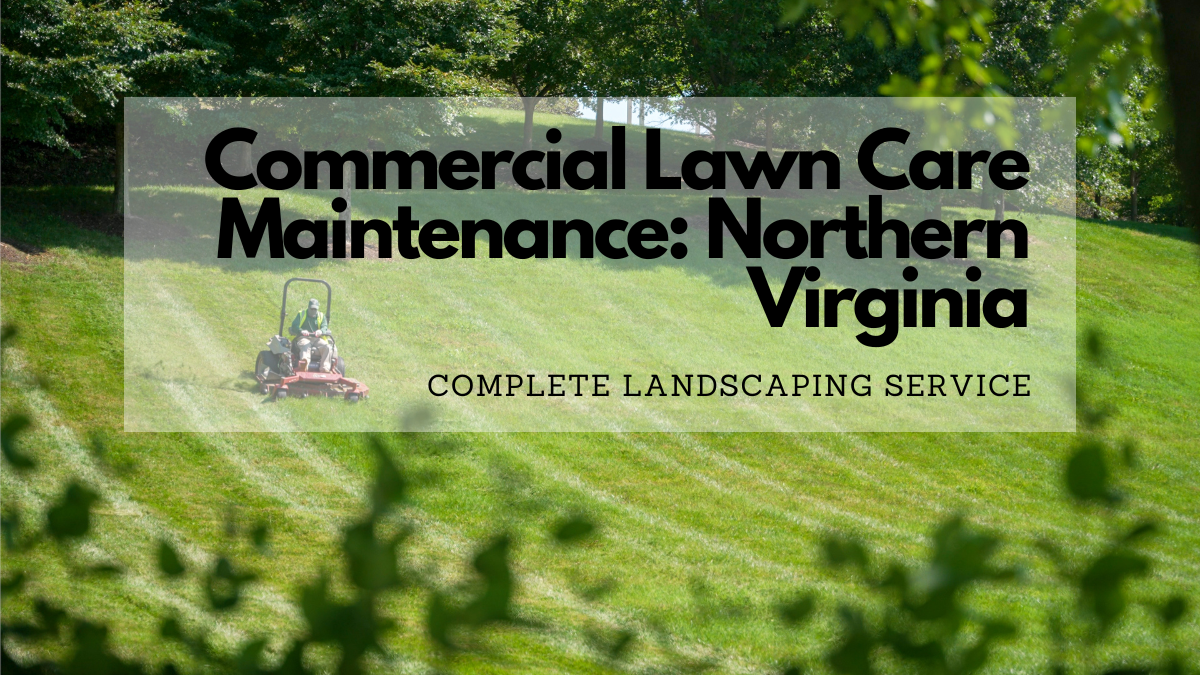 Professional Commercial Lawn Care Services In Northern Virginia