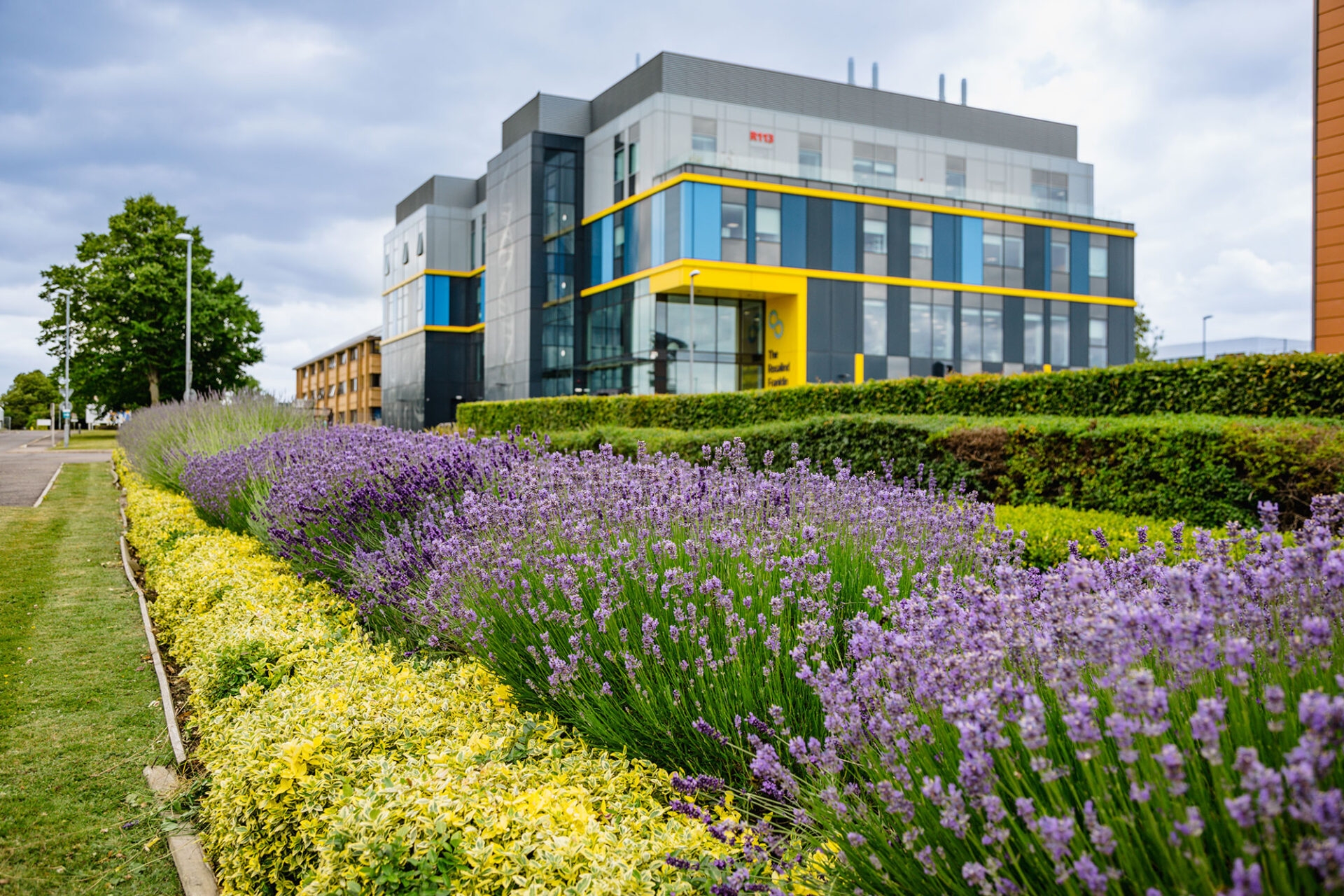 Quality Commercial Landscaping Scofell