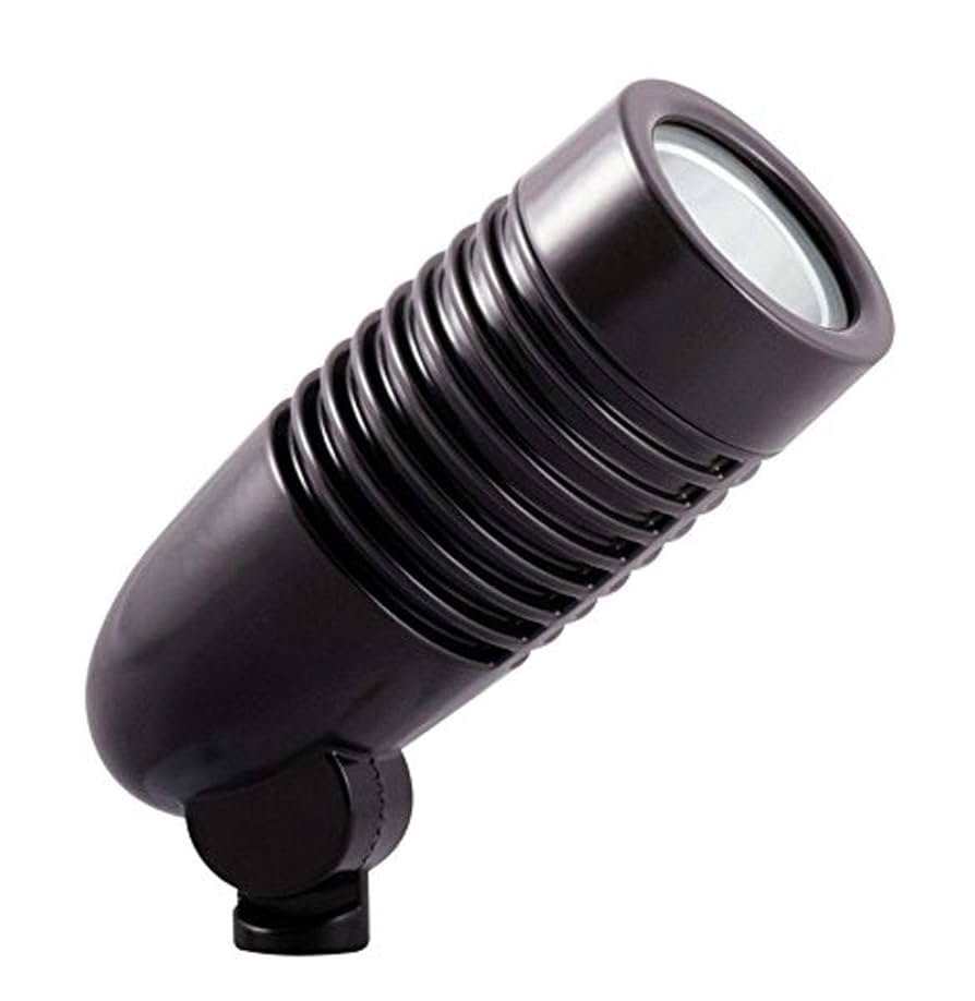 RAB Lighting LFLED5YA Outdoor Bronze Amazon