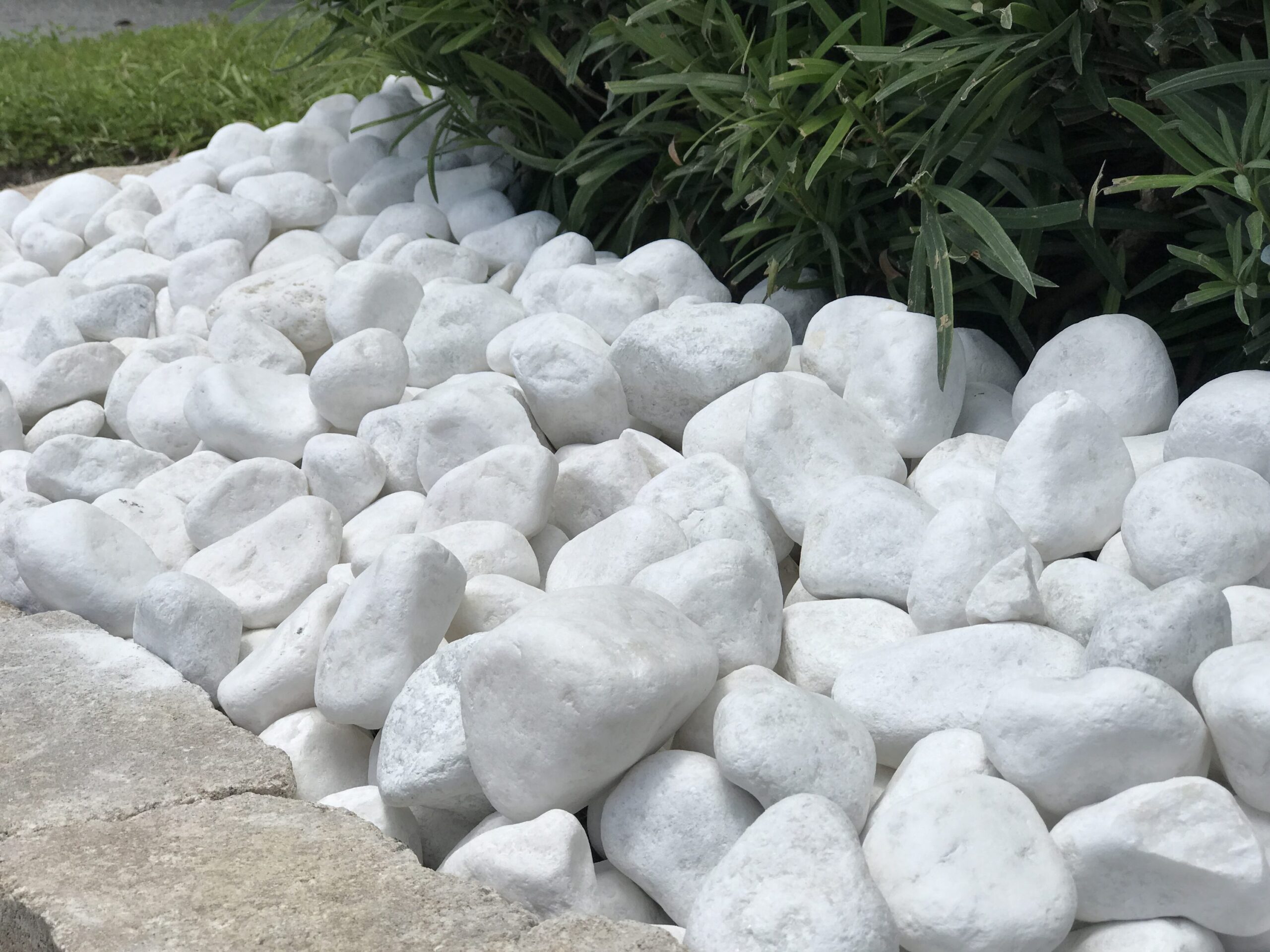 Rain Forest 0 25 cu Ft 20 lb White Egg Rock 0 5 3 in Rock Size RFSWP2 20 At Lowes