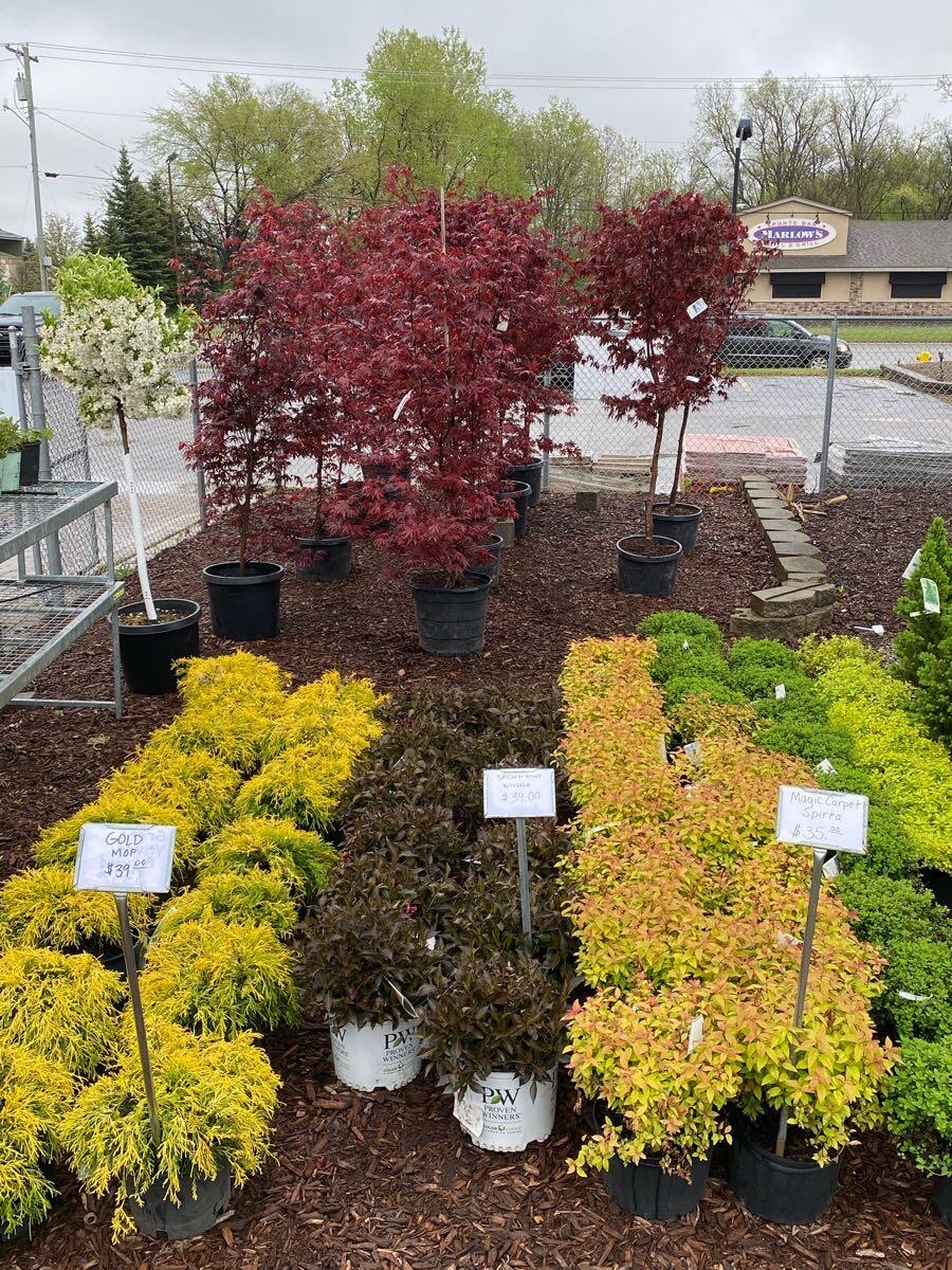 Raupp Brothers Flat Rock MI Nextdoor Raupp Brothers Flat Rock MI Nextdoor