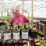 Raymond s Garden Center