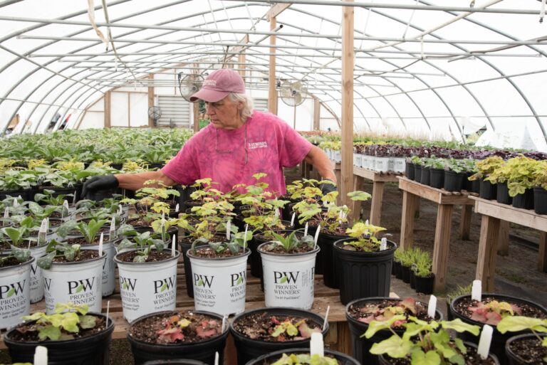 Raymond s Garden Center