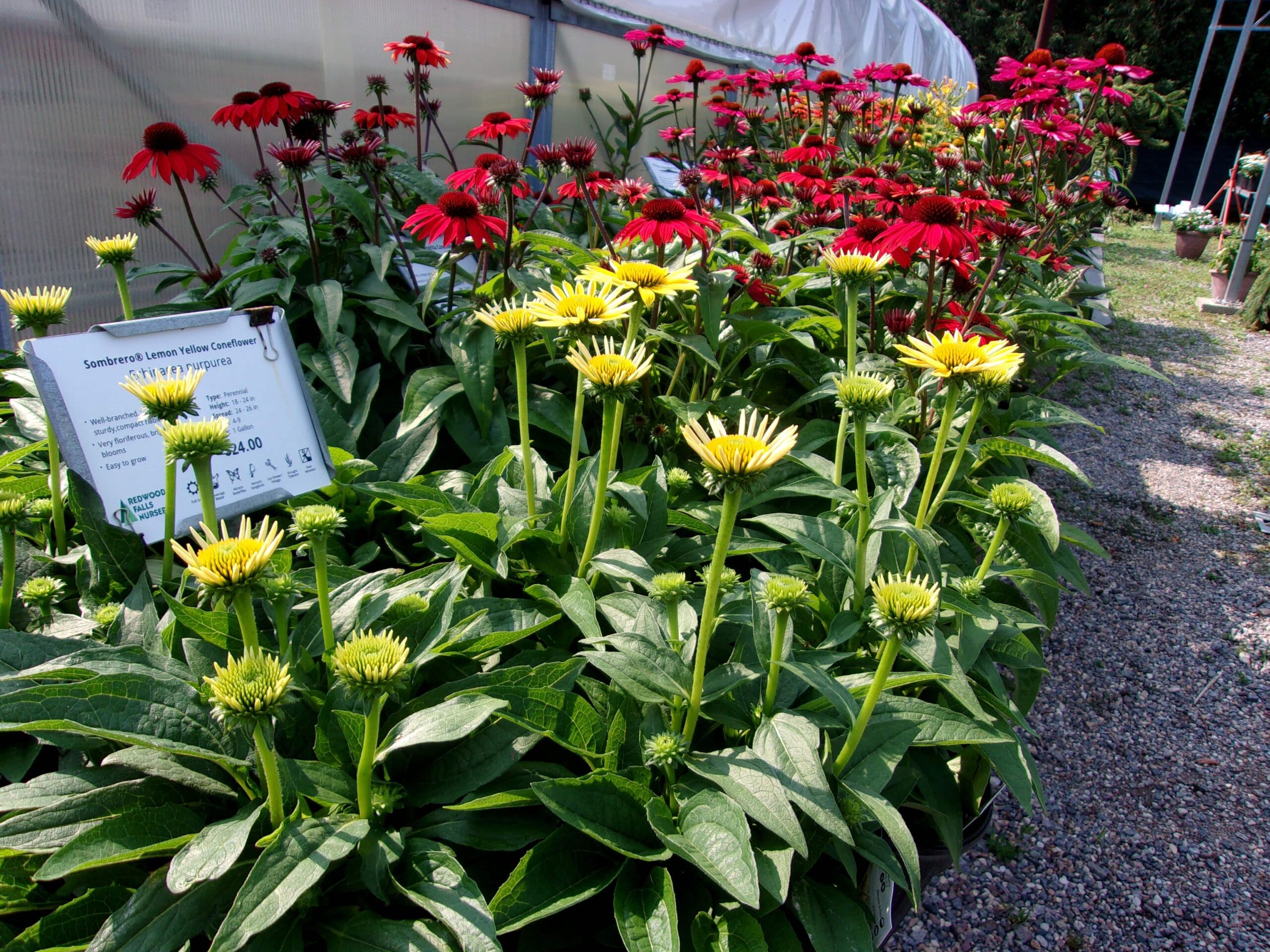 Redwood Falls Nursery Landscape Design Professionals Redwood Falls Nursery Landscape Design Professionals