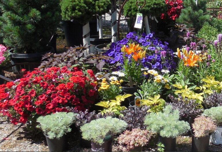 Redwood Falls Nursery Landscape Design Professionals