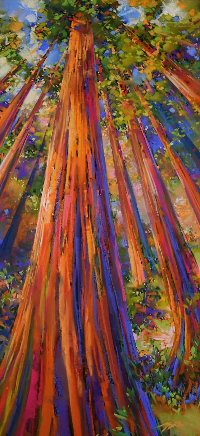 Redwoods A Muse For Artist s Captivating Creations Save The Redwoods League