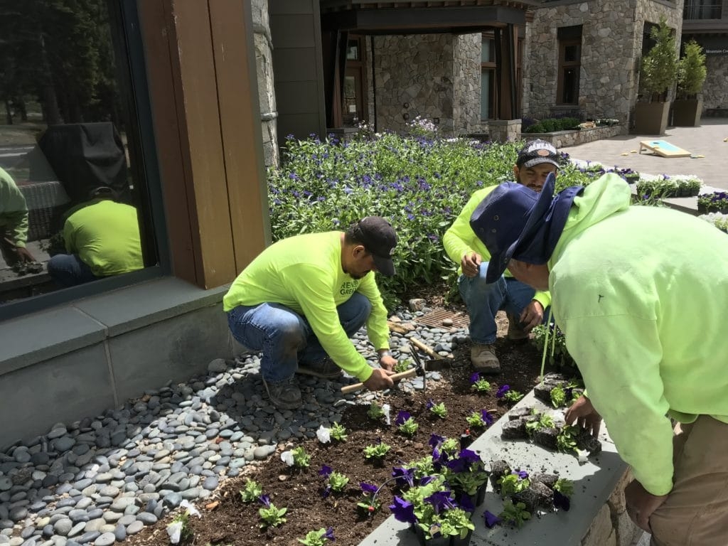 Reno Landscaping Careers Reno Landscaping