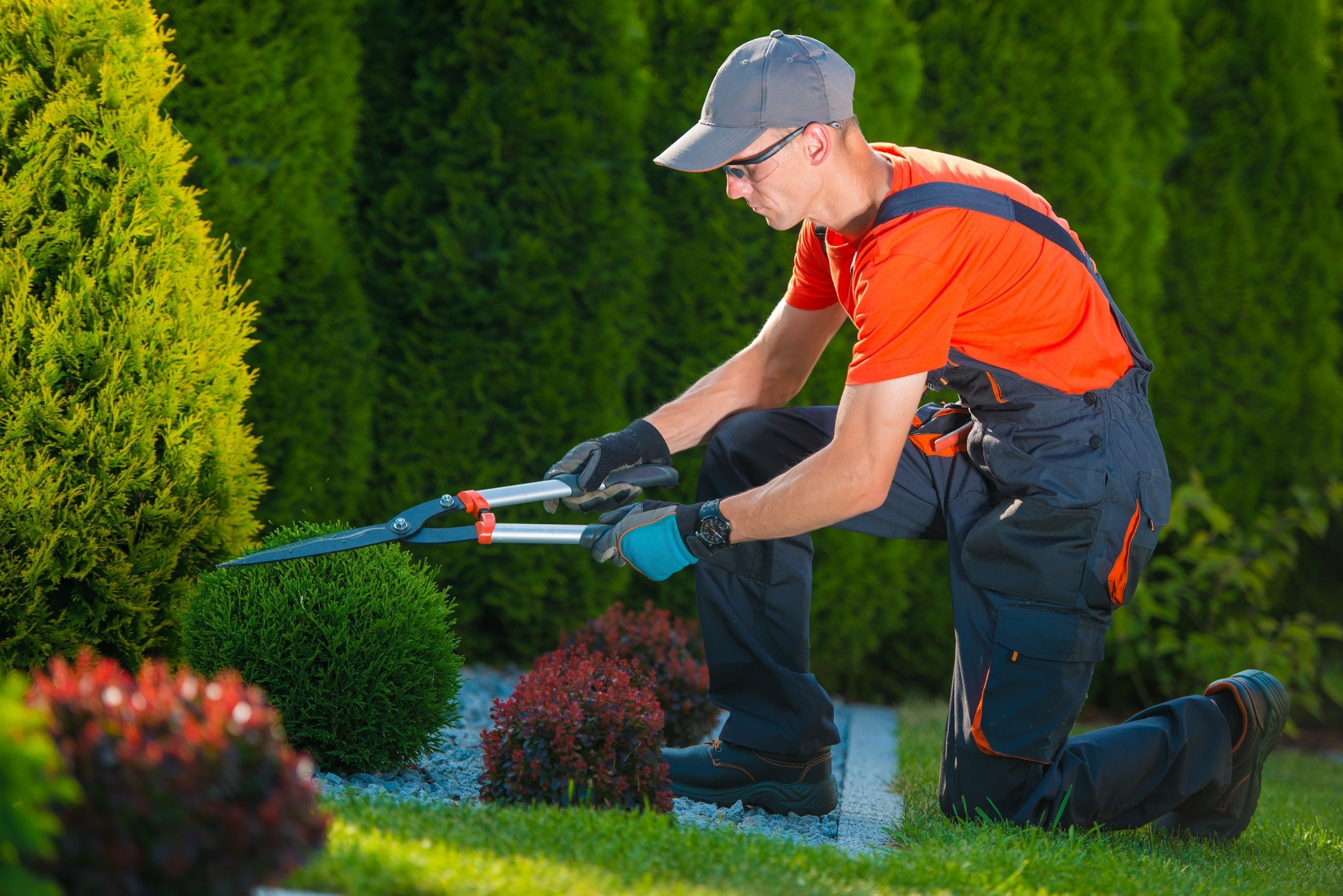 Residential Commercial Landscape Gardening The Herbivore