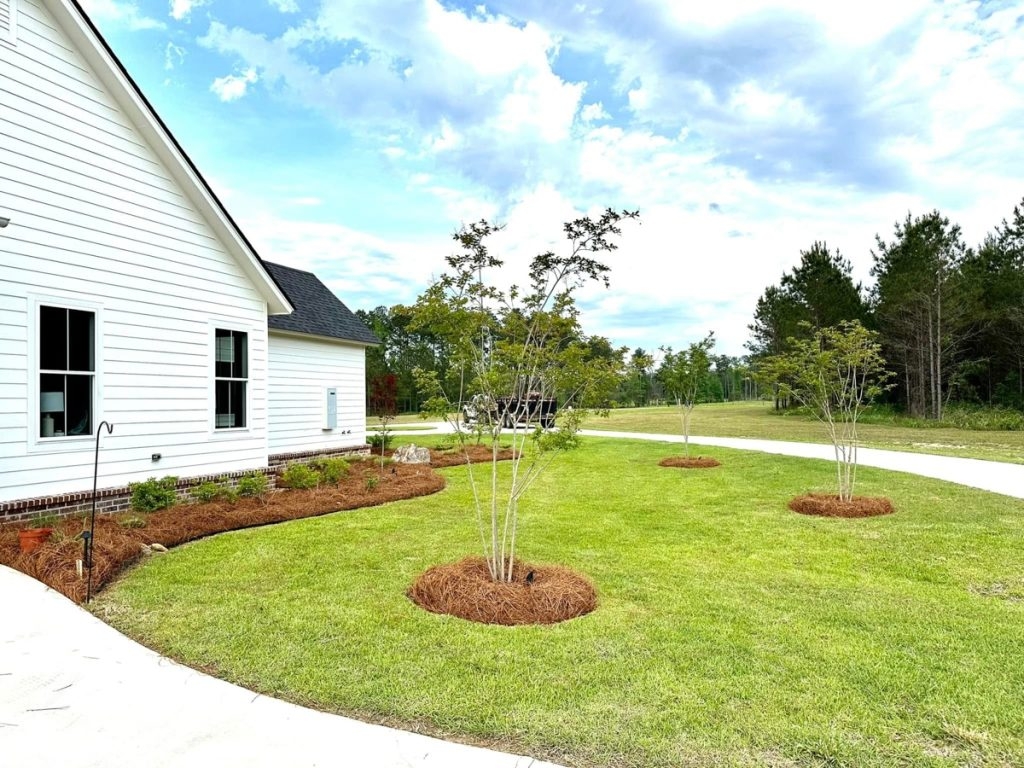 Residential Landscaping GreenTree Landscape Solutions