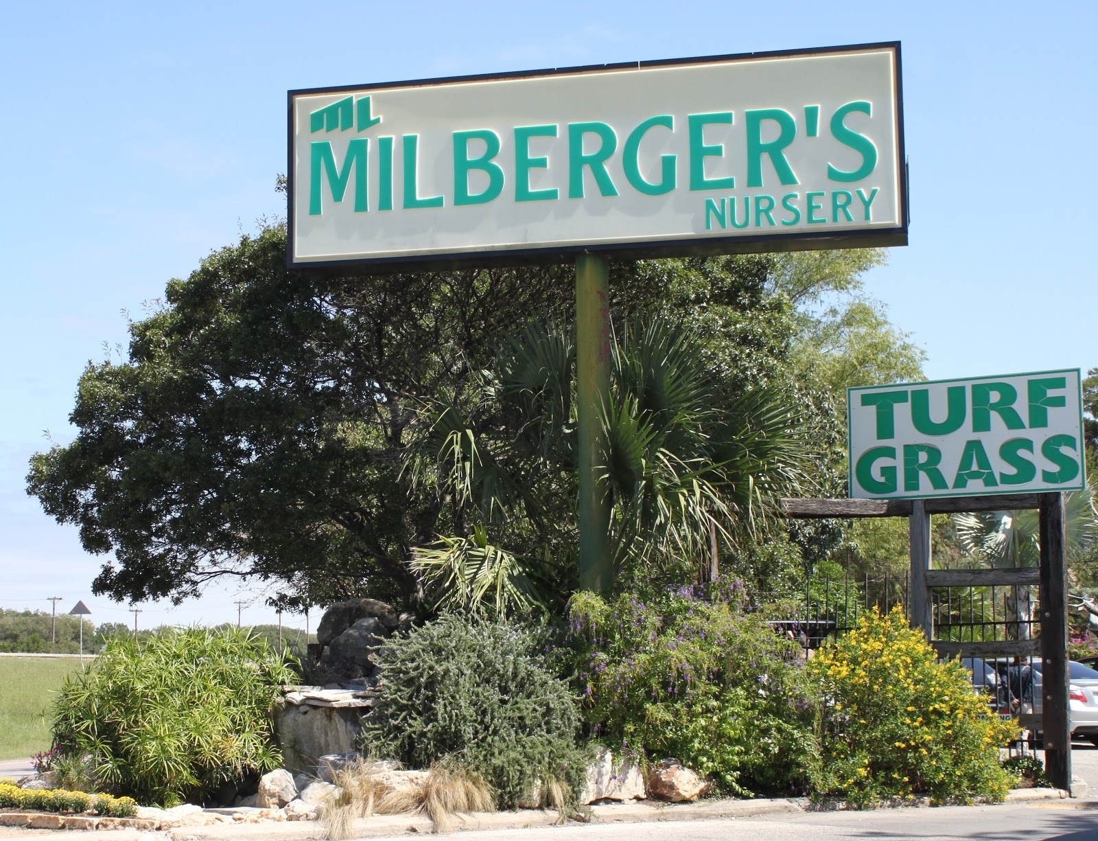 Rock Oak Deer Milberger s Nursery