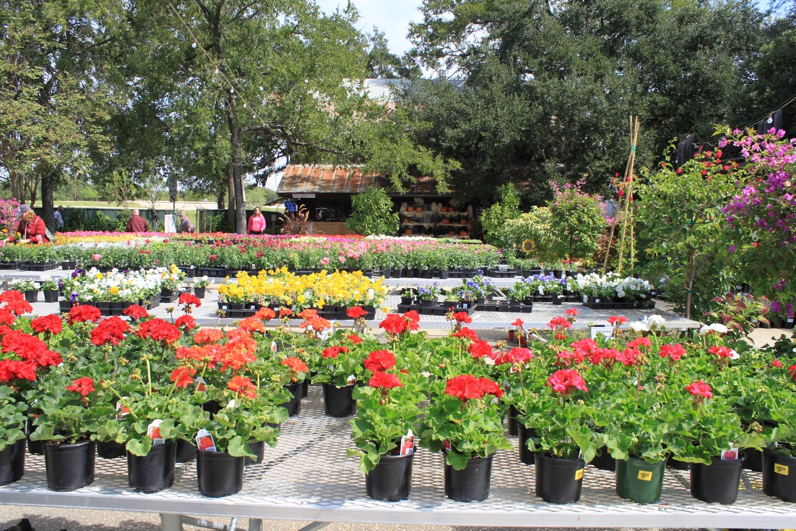 milberger's nursery landscaping