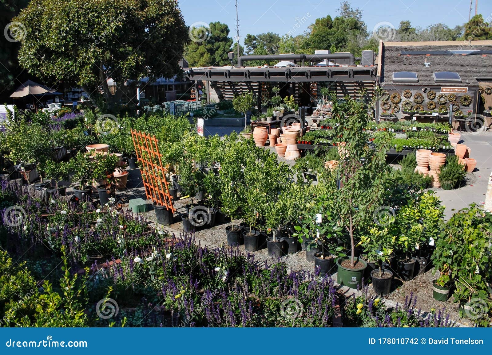 Rogers Garden Landscape Editorial Photography Image Of Design 178010742 Rogers Garden Landscape Editorial Photography Image Of Design 178010742