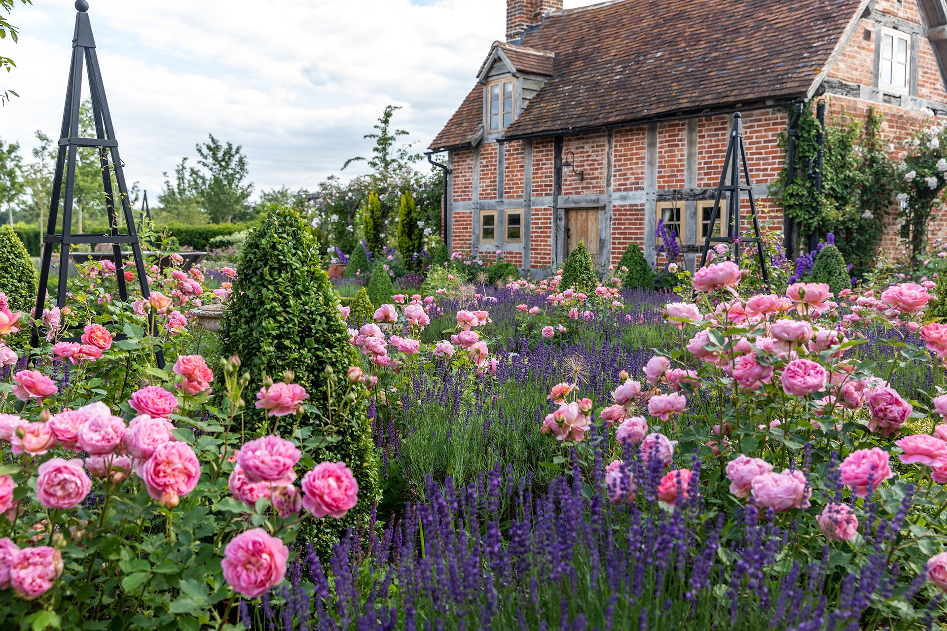Rose Garden Ideas 14 Rose Gardens To Inspire Homes And Gardens
