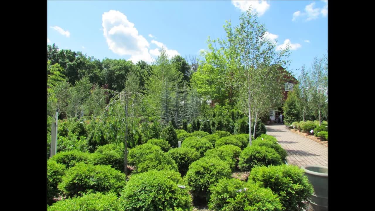 Rutgers Landscape Nursery VisitNJ