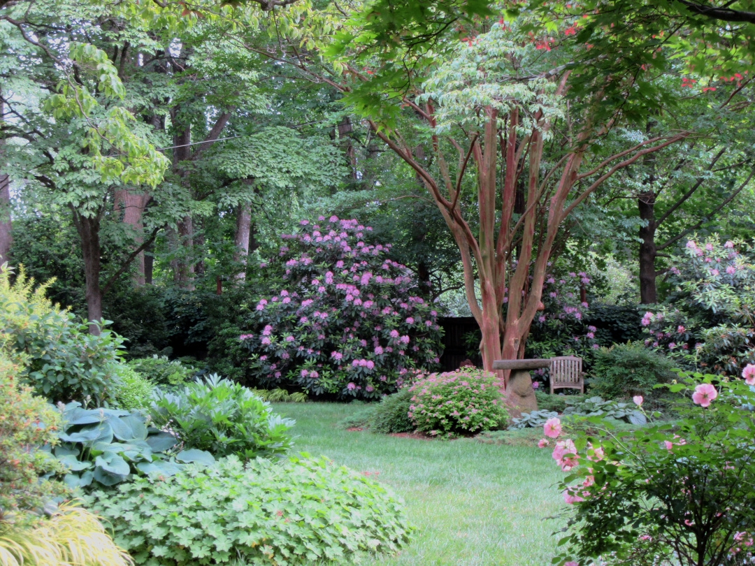 Sally s Maryland Garden Fine Gardening