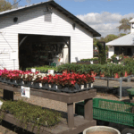 Seffner s Kerby s Nursery Marks 43 Years In The Community