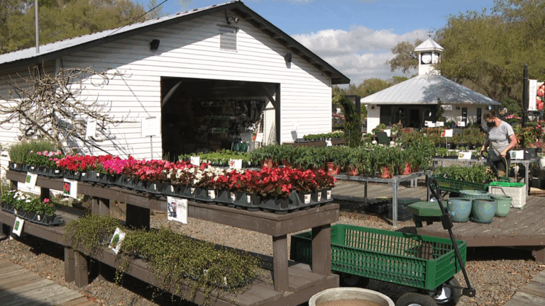 Seffner s Kerby s Nursery Marks 43 Years In The Community