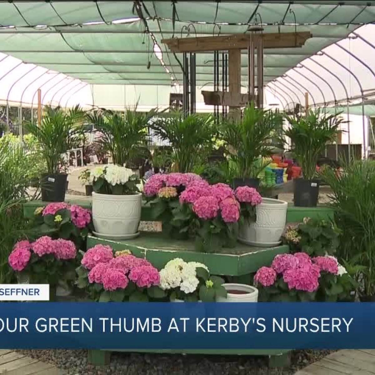 Seffner s Kerby s Nursery Marks 43 Years In The Community