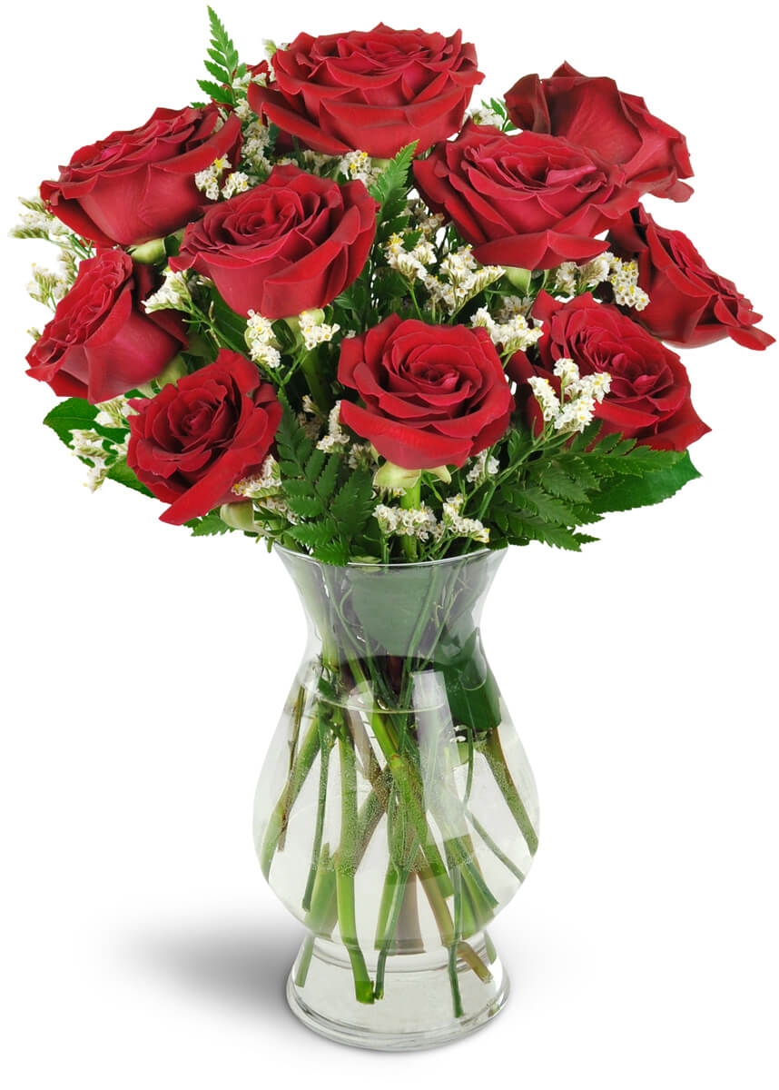 Send Devoted To You Red Roses In Bourbonnais IL Tholens Landscape Garden Center Inc Send Devoted To You Red Roses In Bourbonnais IL Tholens Landscape Garden Center Inc