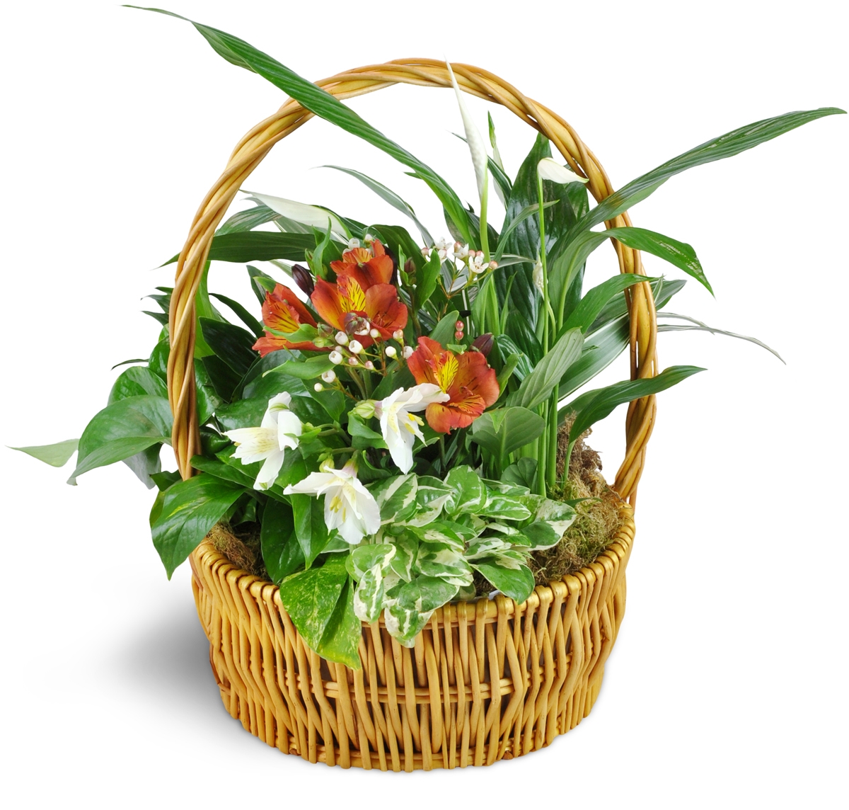 Send Thinking Of You Garden Basket In Bourbonnais IL Tholens Landscape Garden Center Inc Send Thinking Of You Garden Basket In Bourbonnais IL Tholens Landscape Garden Center Inc
