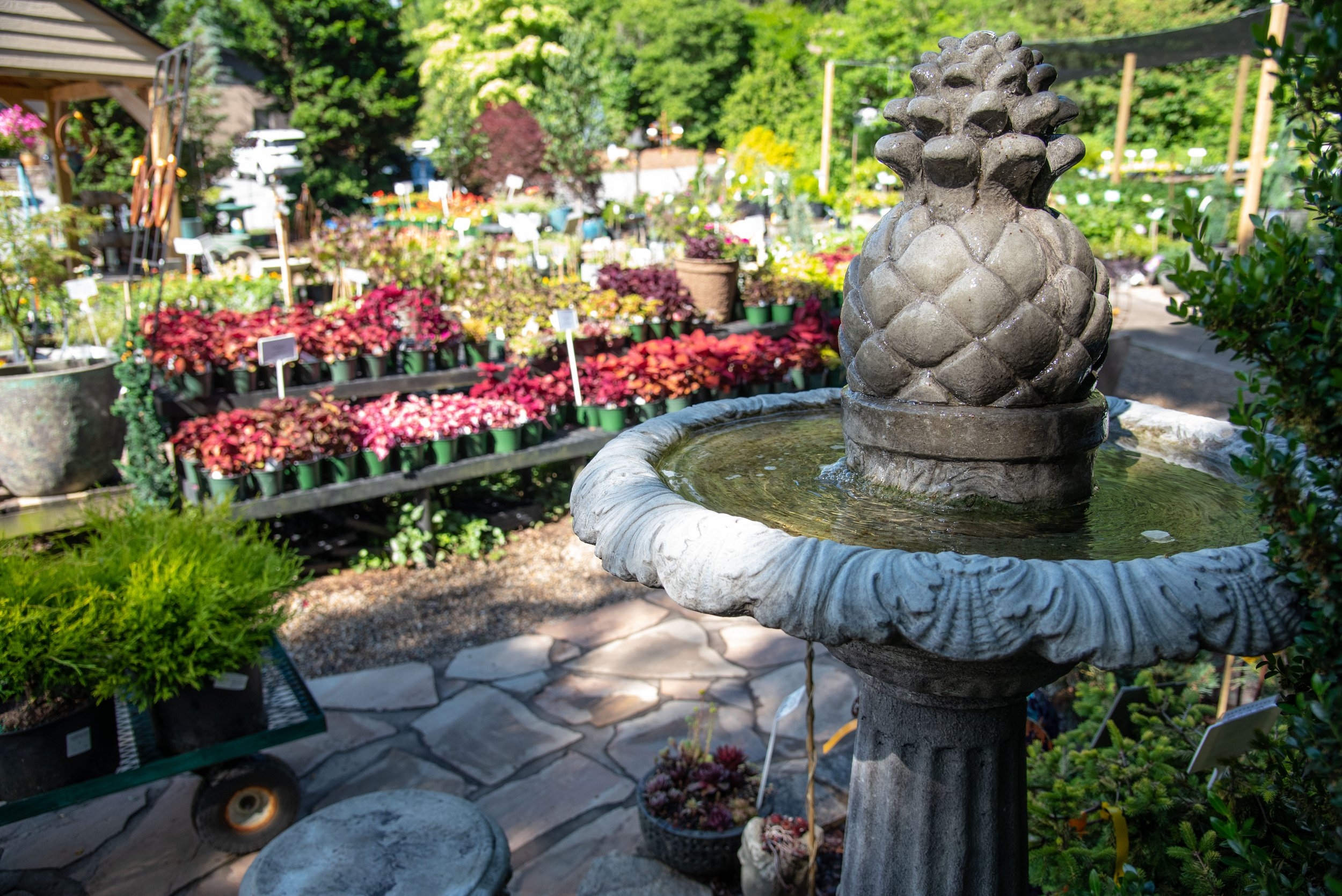 raymond's garden center & landscaping raymond's garden center & landscaping