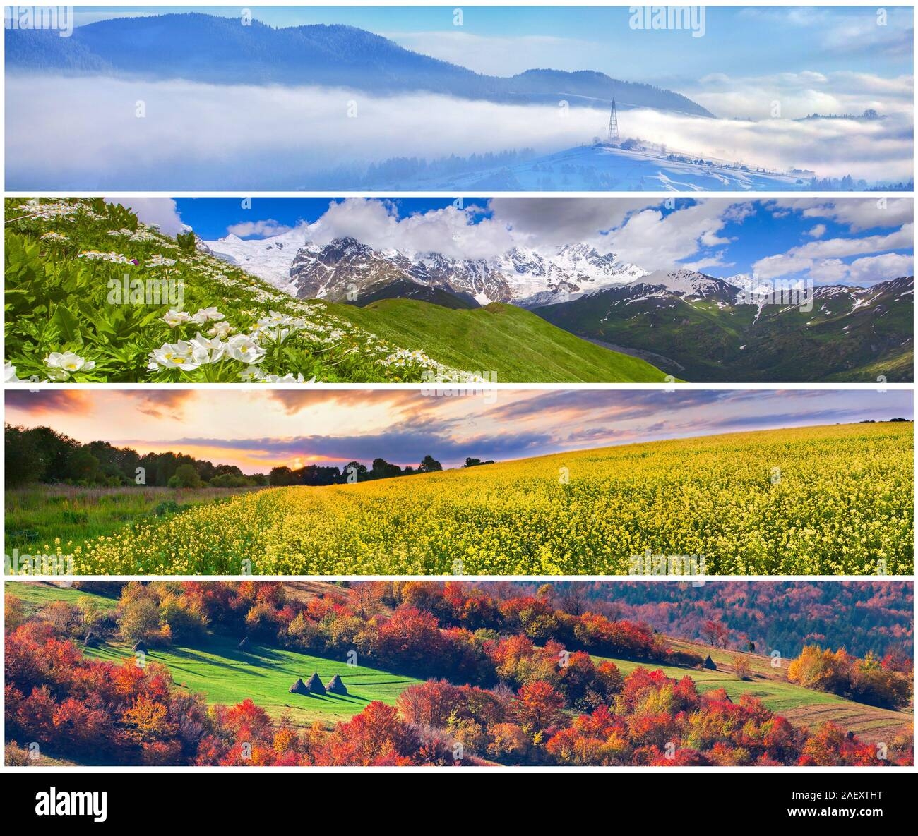 four seasons landscape