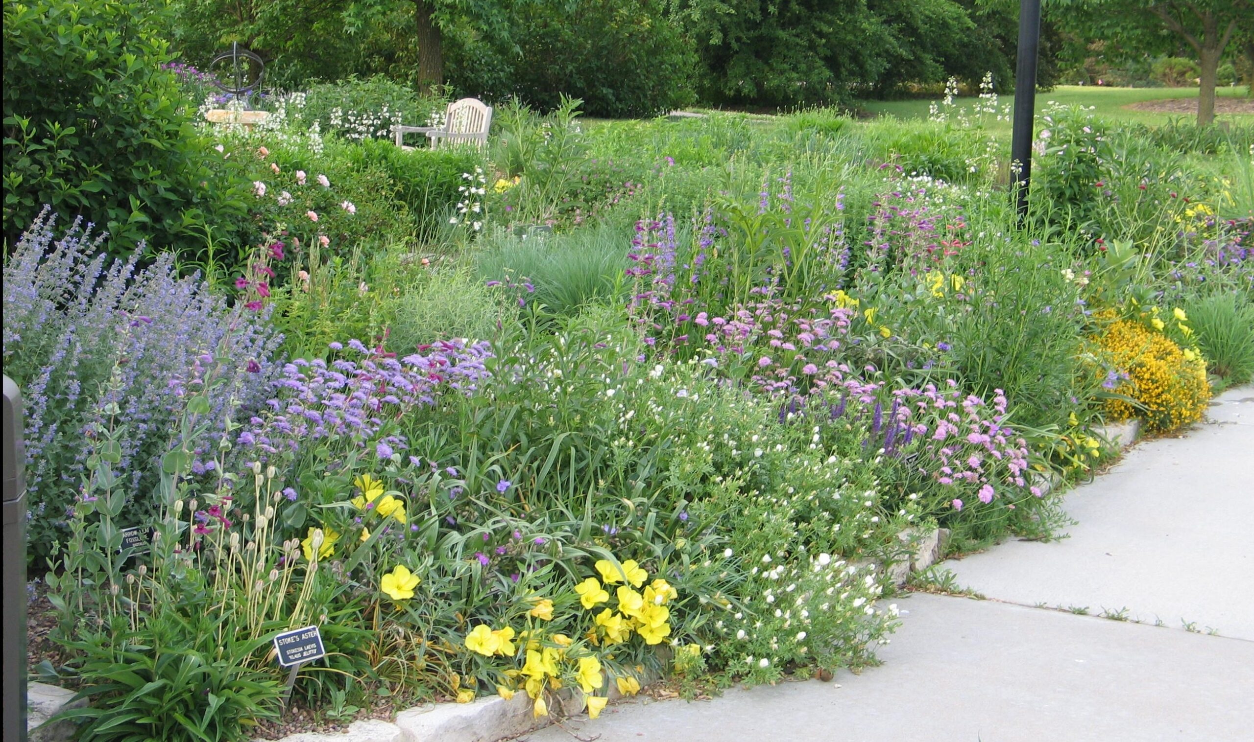Seven Steps To Planning Your Native Landscape Dyck Arboretum