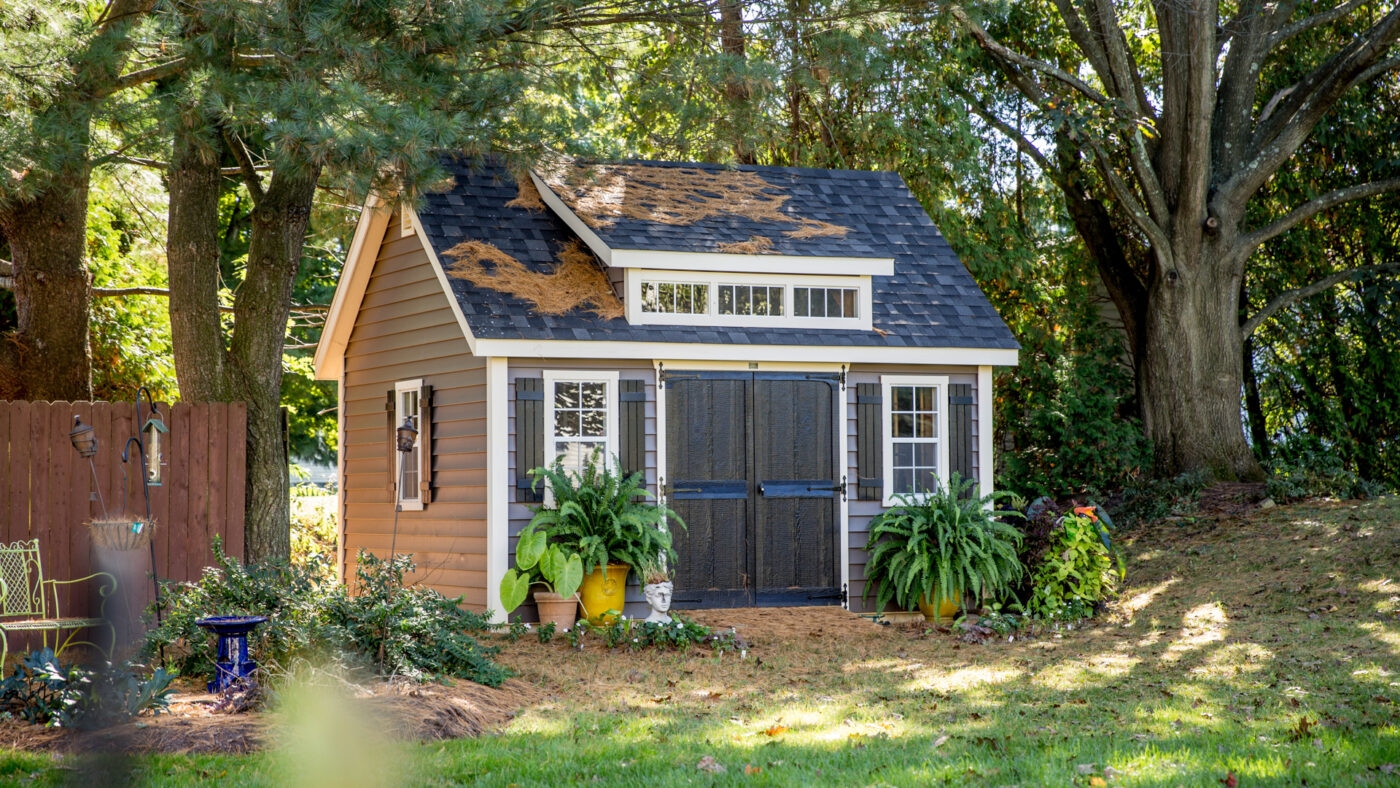 Shed Landscaping Ideas Styles Guide And More