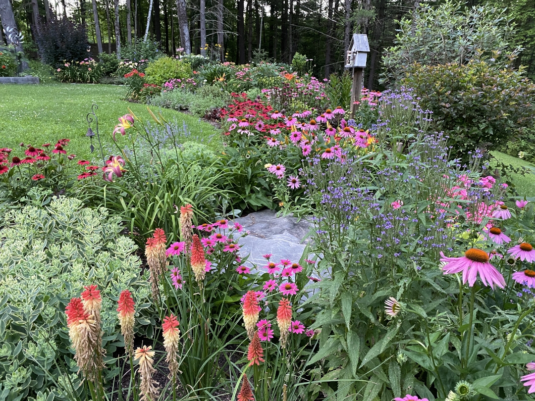 Shelley s Upstate New York Garden Fine Gardening Shelley s Upstate New York Garden Fine Gardening