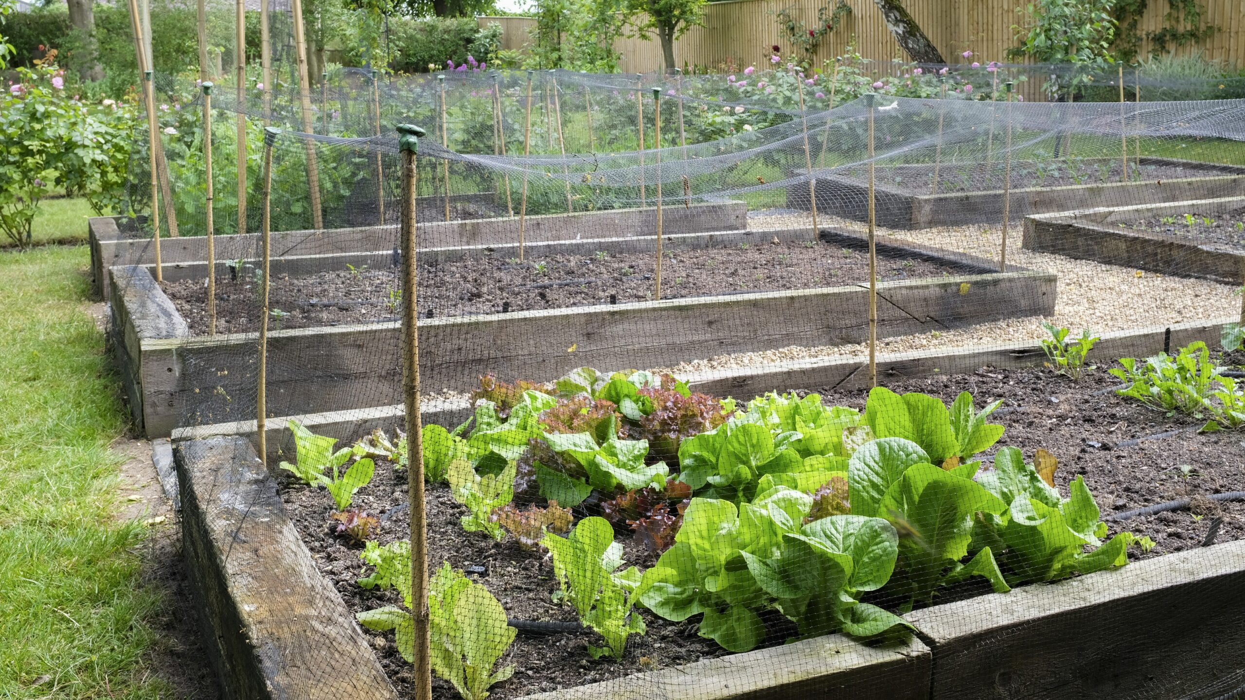 Should I Use Railroad Ties In My Garden Alternatives To Railroad Ties For Landscaping Gardening Know How