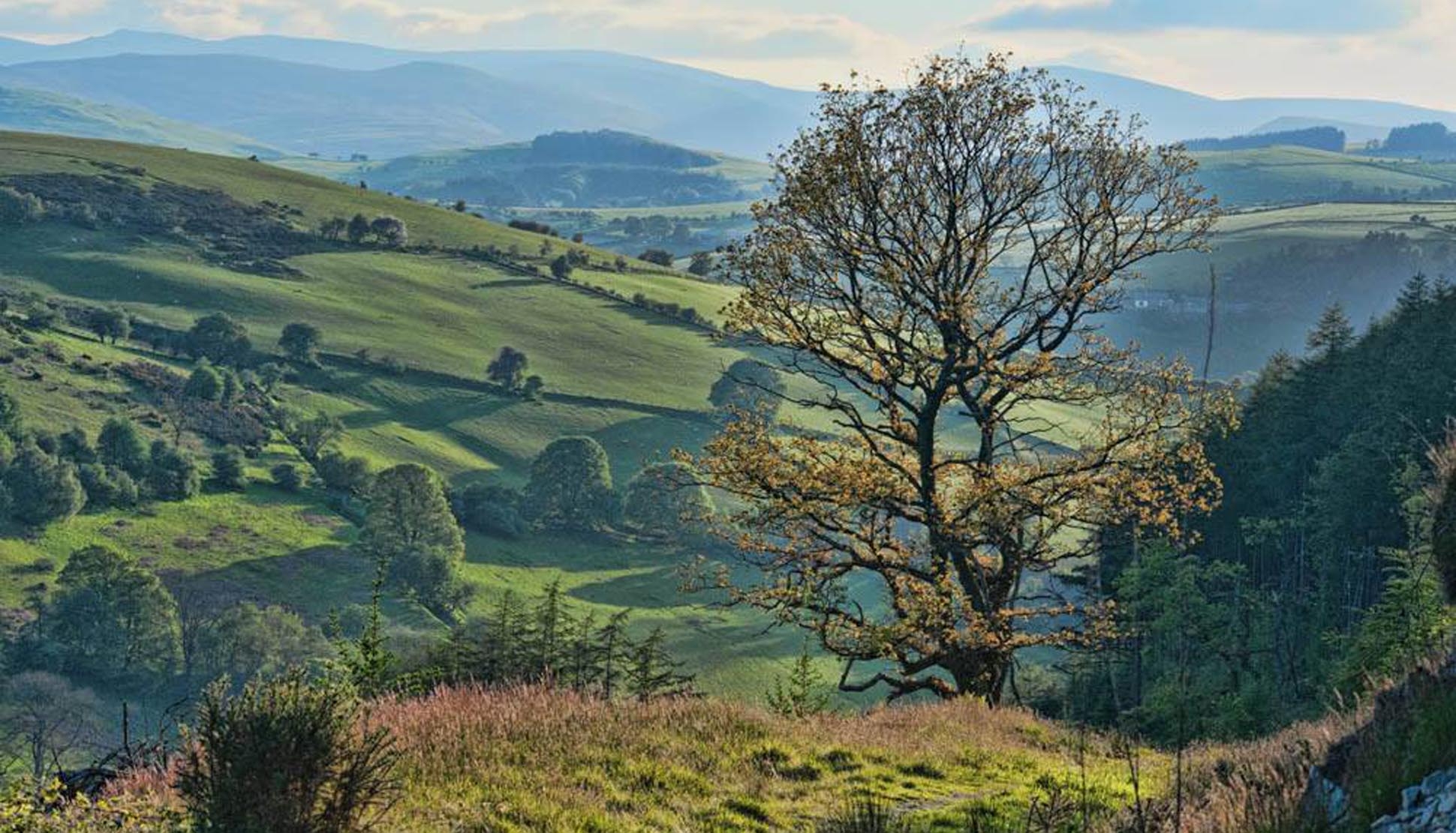 Shropshire Hills National Landscape Independent Hostels