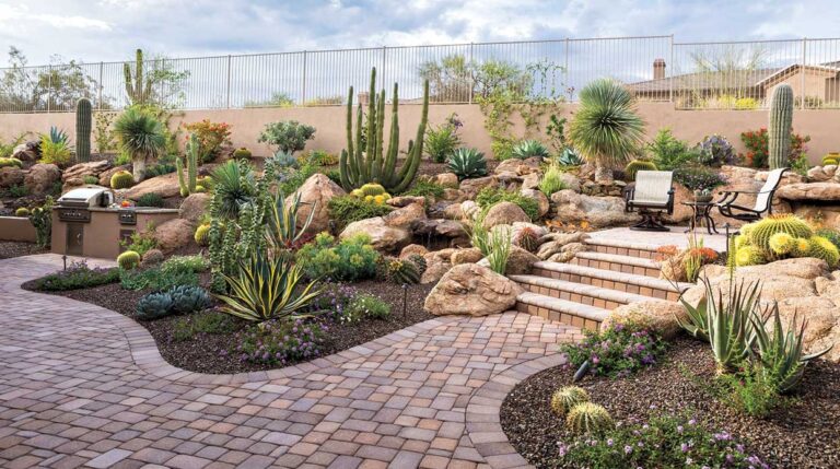 Small Space Big Impact Suburban Backyard Transformed Into Desert Oasis With View Phoenix Home Garden