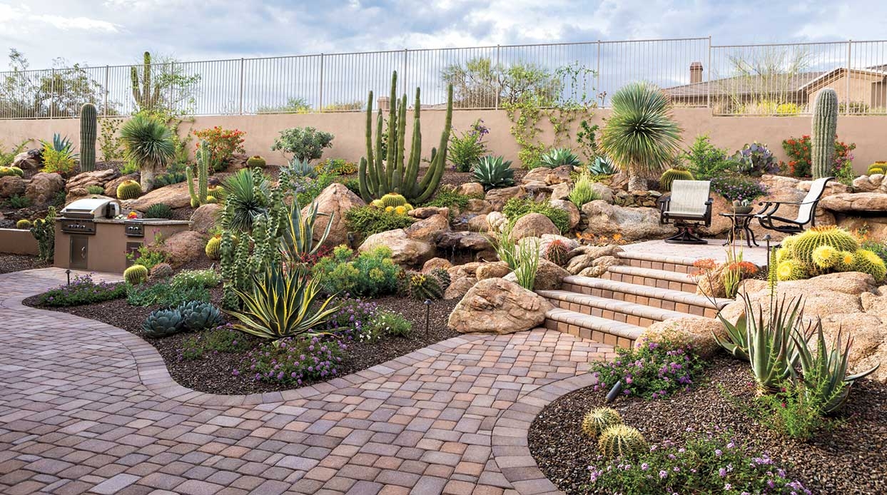 Small Space Big Impact Suburban Backyard Transformed Into Desert Oasis With View Phoenix Home Garden