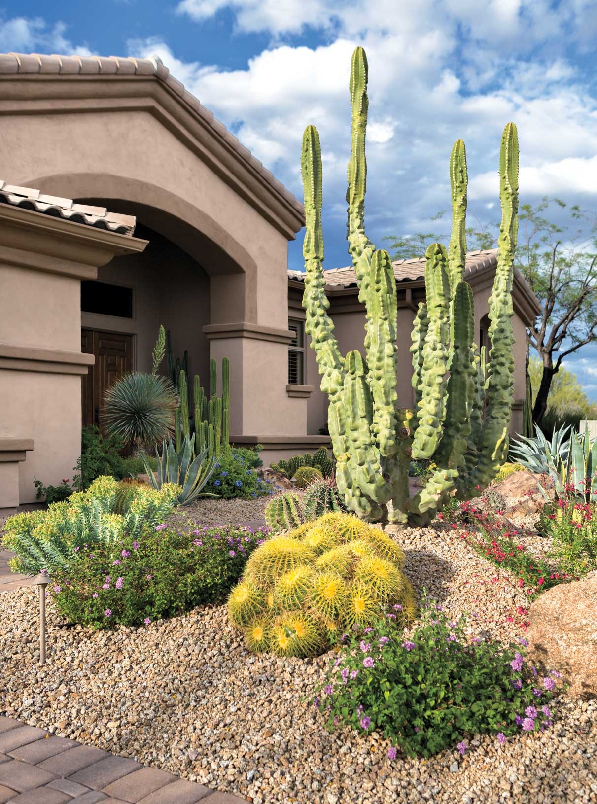 Small Space Big Impact Suburban Backyard Transformed Into Desert Oasis With View Phoenix Home Garden