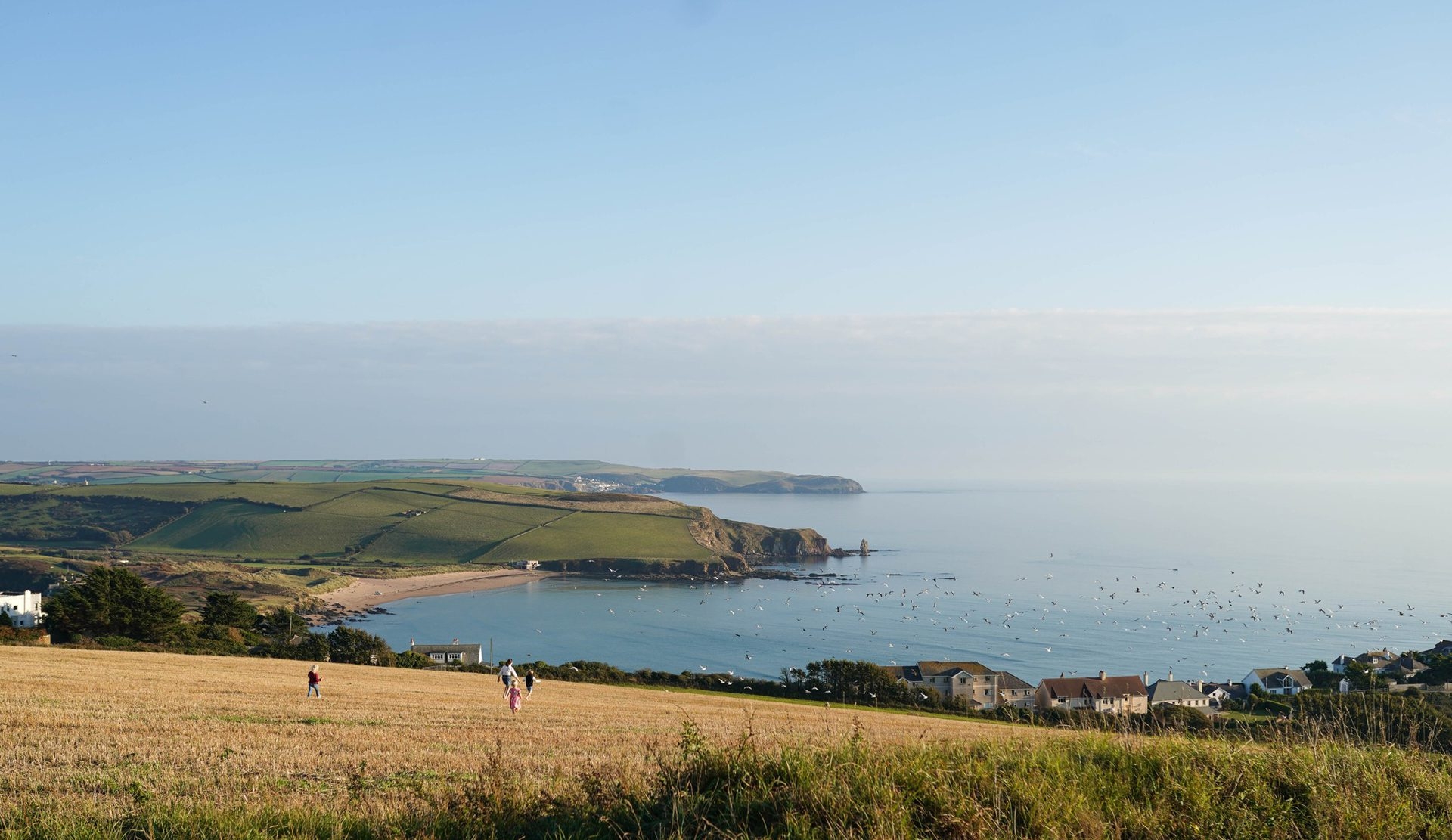 south devon national landscape